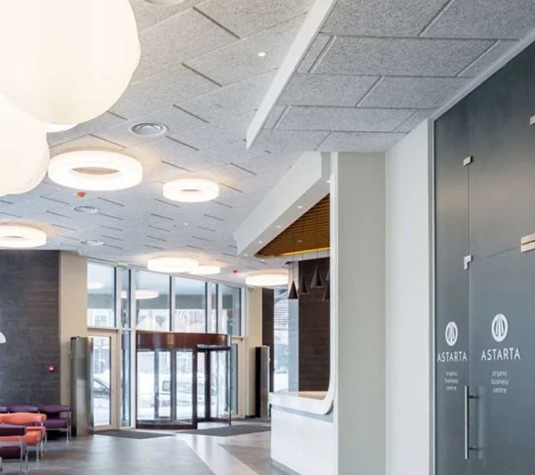 KNAUF Ceiling HERADESIGN® Macro ceiling panel in a white colour brick pattern layout at the entrance of the shopping mall